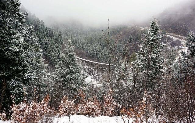 Scenic Forest Walk