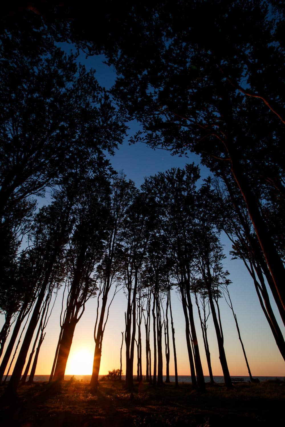 Sunrise/Sunset Mystique