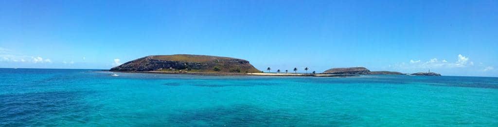 Vibrant Coral Reefs & Marine Life