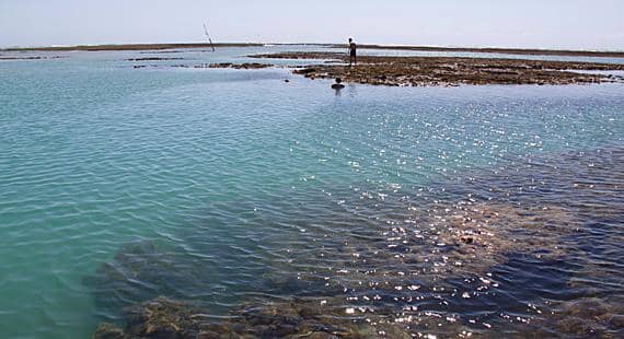 Natural Pools