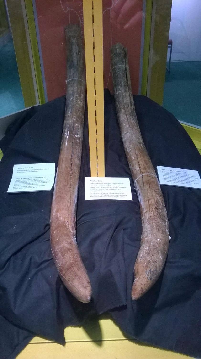 Changing Exhibitions