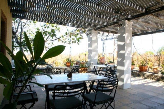 Wine and Food Pairing