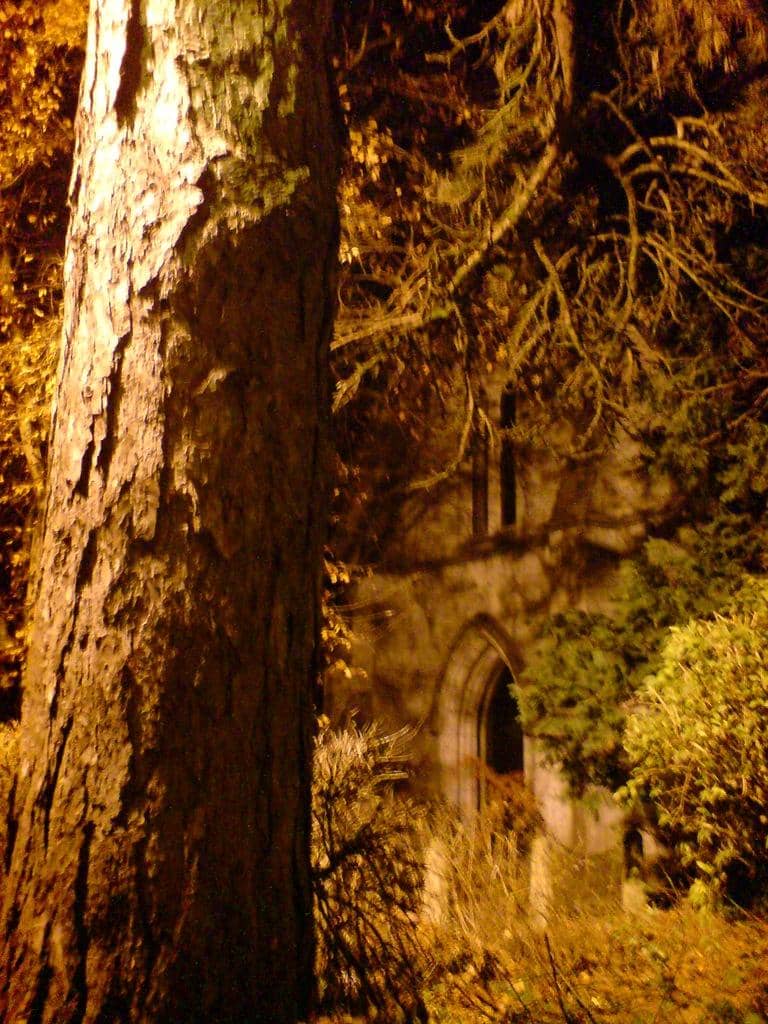 Vertical photo