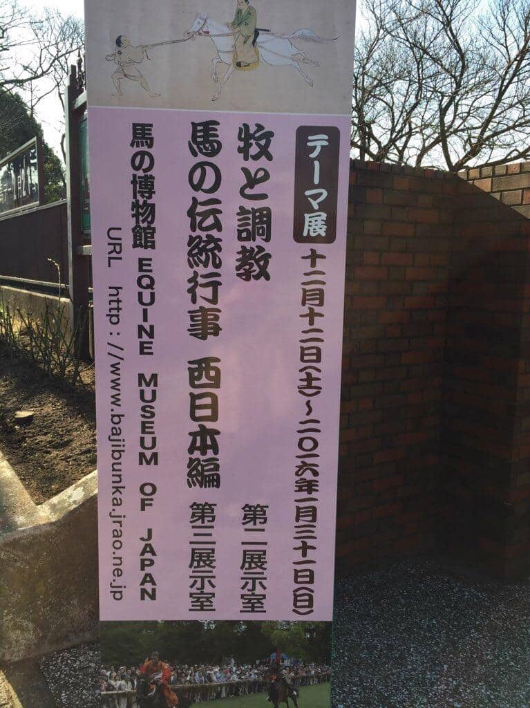 Horse Evolution & History Exhibits