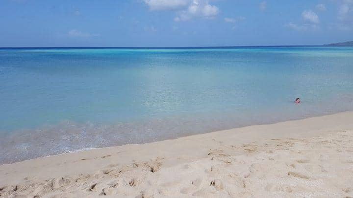 Sea Turtle Nesting Sanctuary