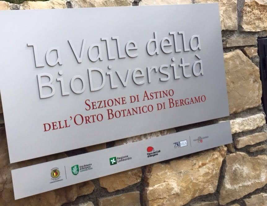 Panoramic City Views