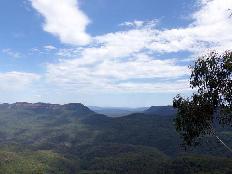 Leura Infinity Pool