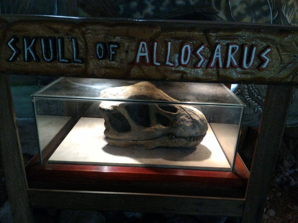 Dino Trail & Dino World of Fun