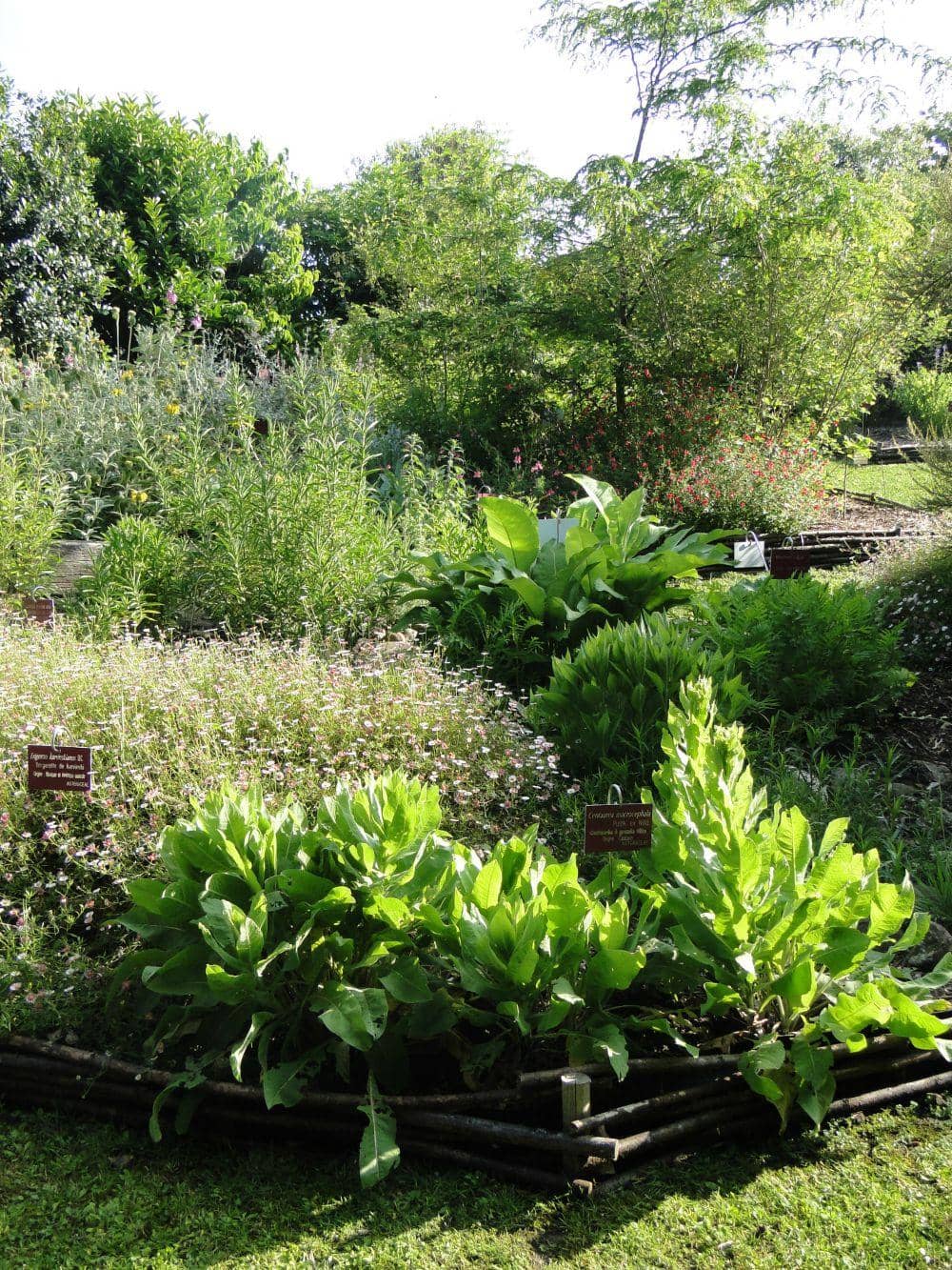 Tranquil Pond Area