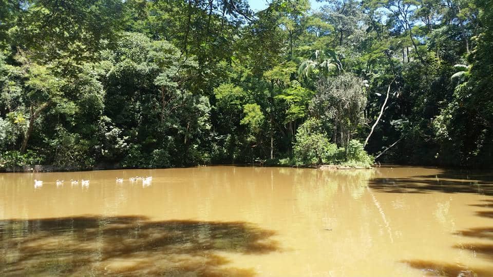 Pico do Jaraguá Summit