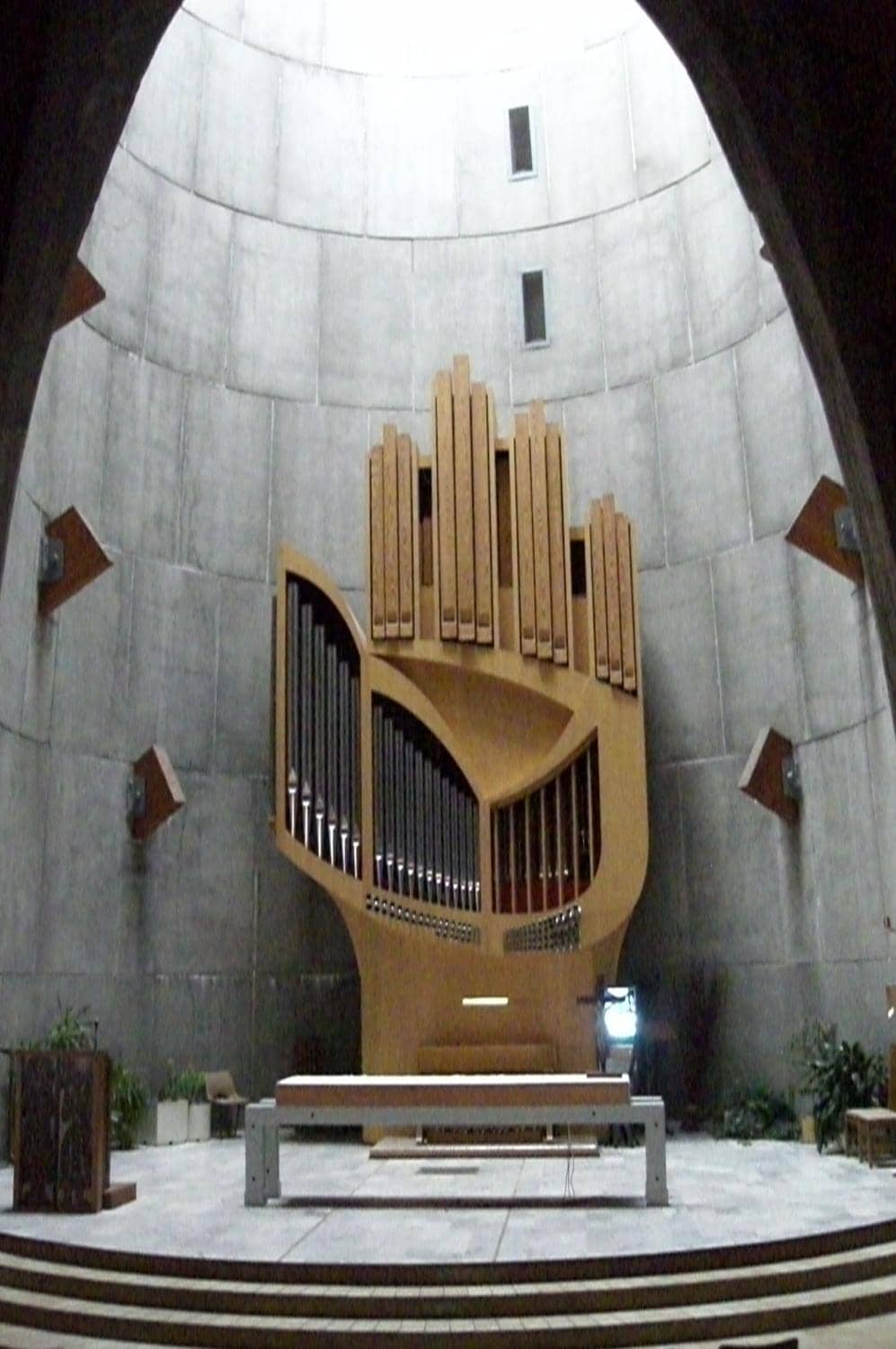 The Hand-Shaped Organ