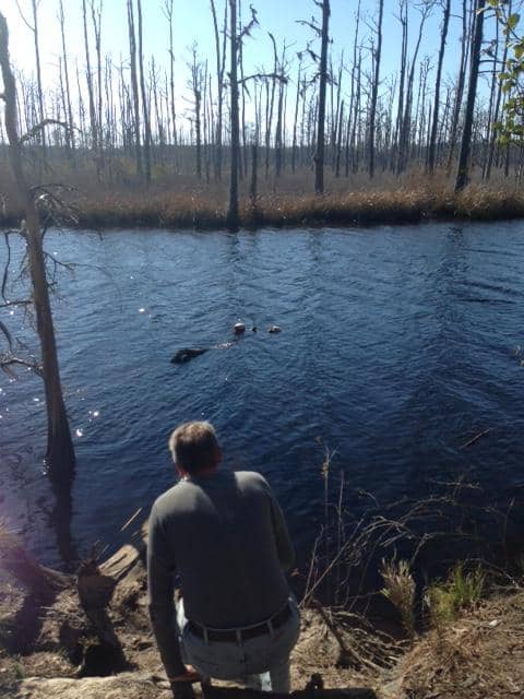 Scenic Lake Loop Trail