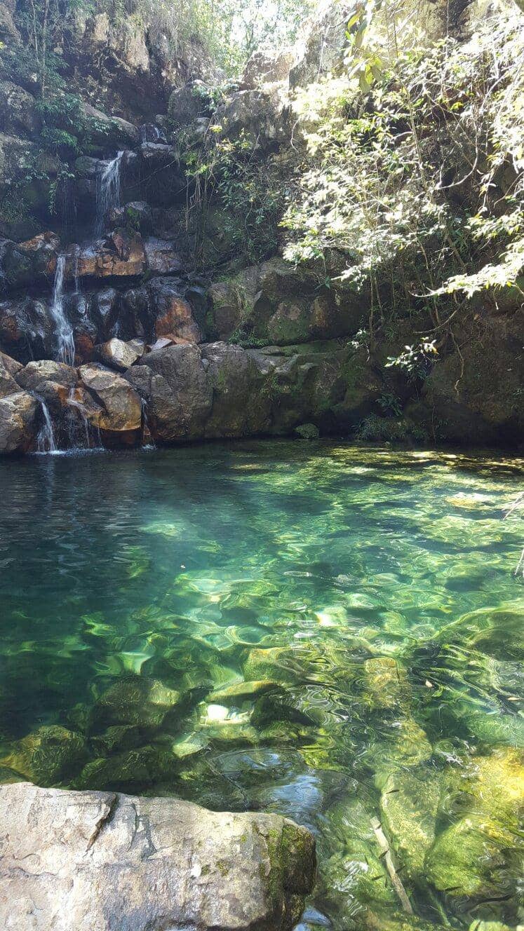 Cerrado Scenery