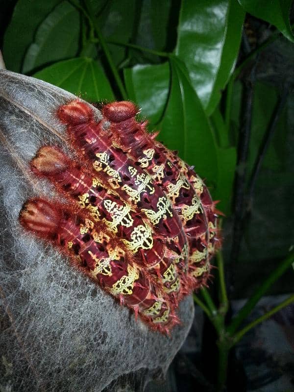 Passionate Guided Tours