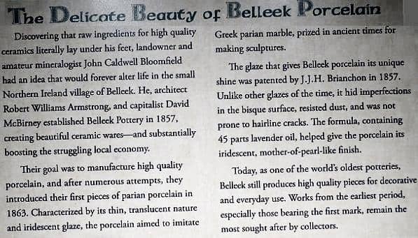 Fossil & Dinosaur Displays