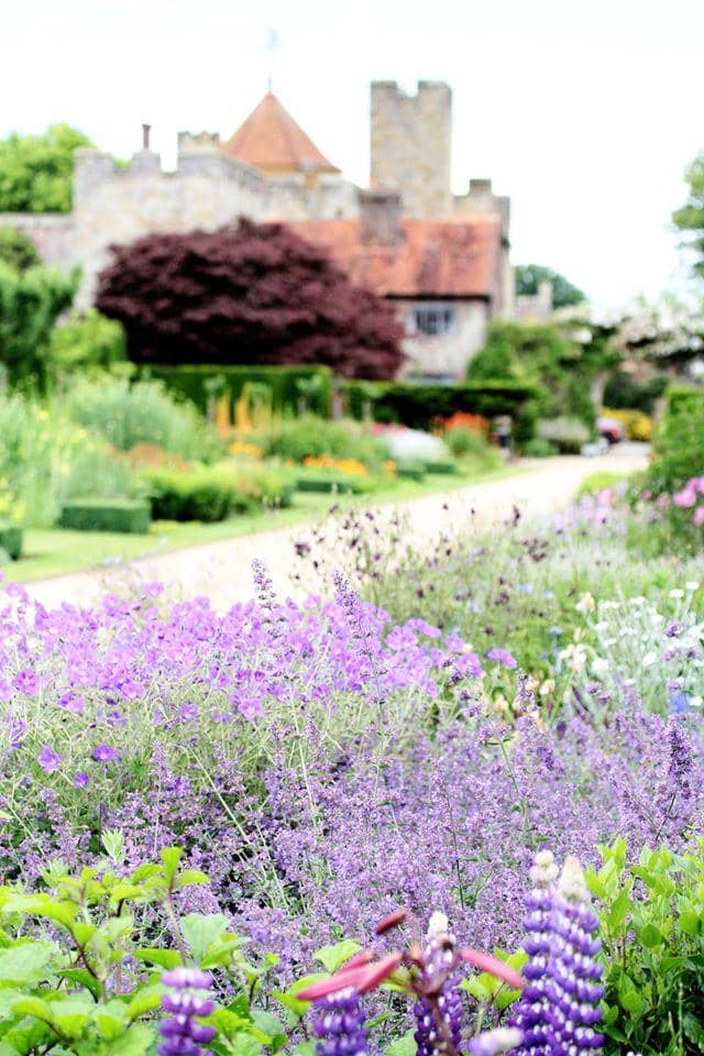Adventure Playground