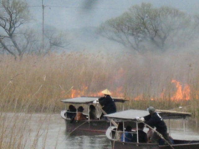 Scenic River Journey