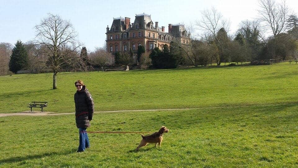 Woodland Trails & Oak Trees
