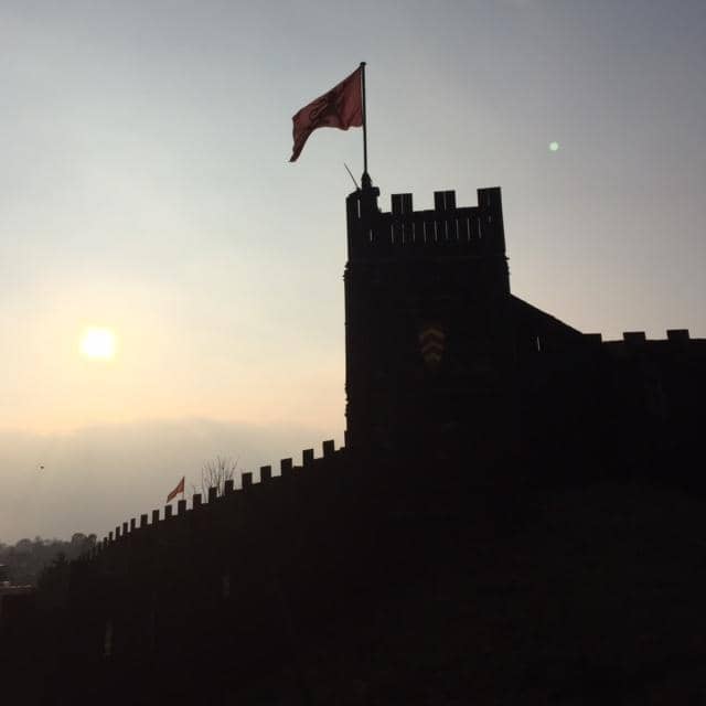 Interactive Lifelike Figures