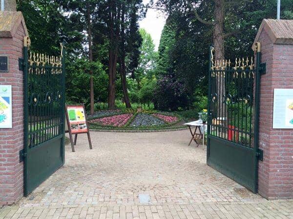 Diverse Botanical Collection