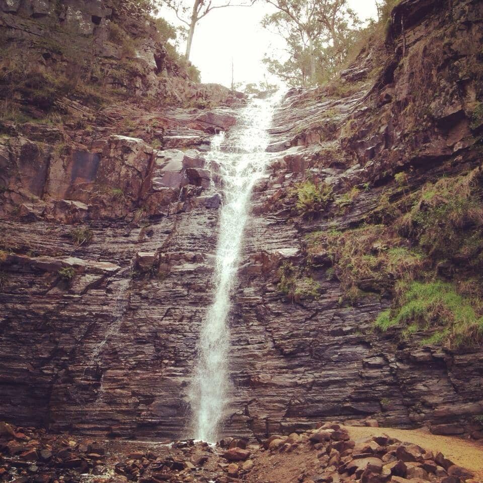 Vertical photo