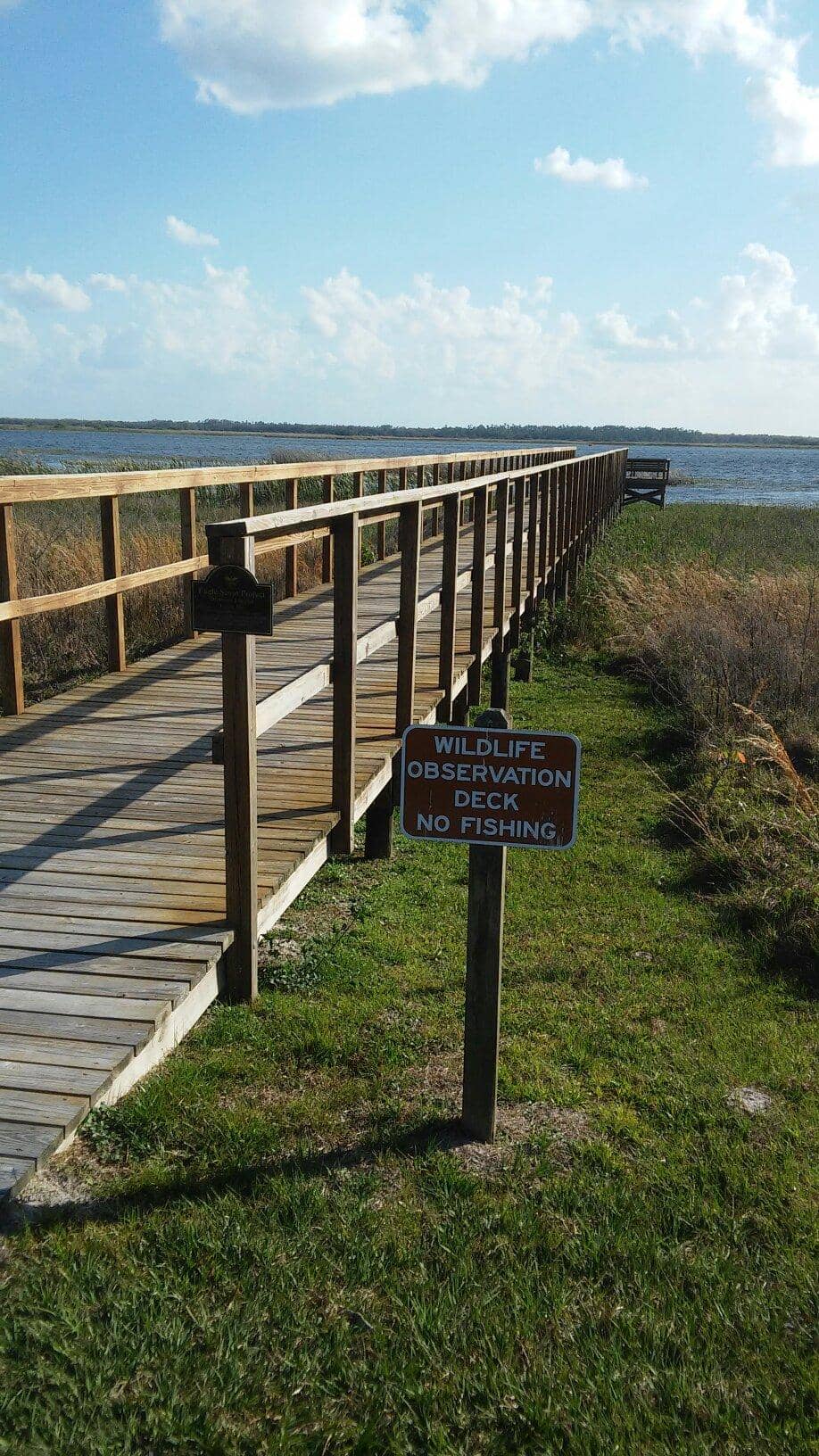 Lake Tohopekaliga Trails