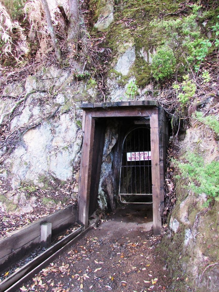 Geologist-Led Insights