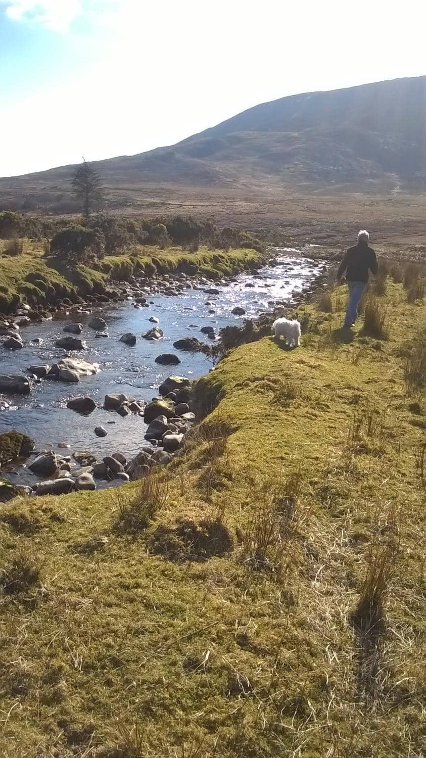 The River Dip