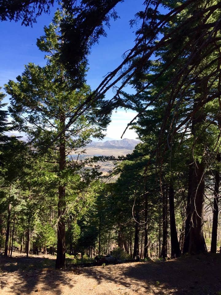 Paso Picacho Campground