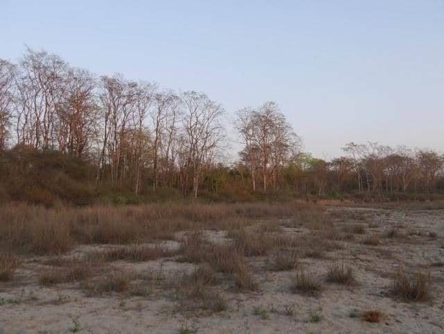 Aquarium & Bird Gallery