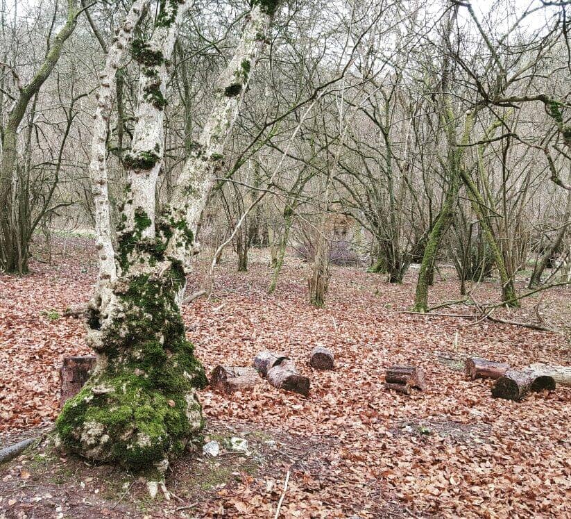 Wildlife Hides