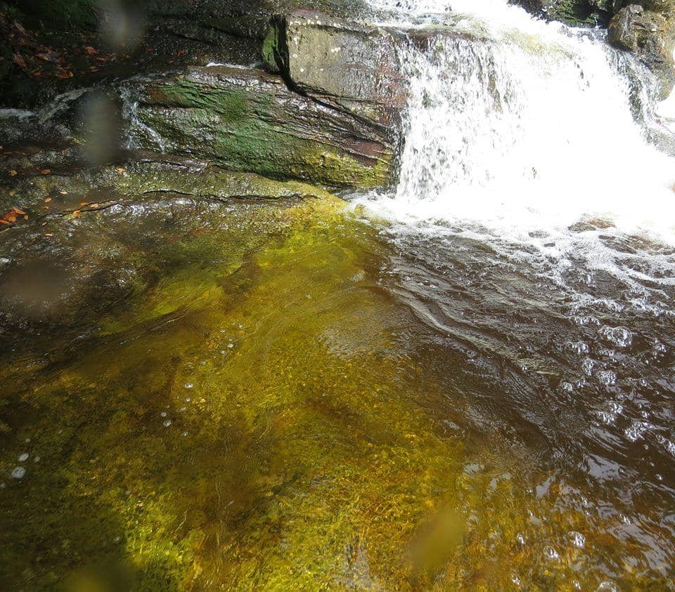 Shallow Relaxation Pools