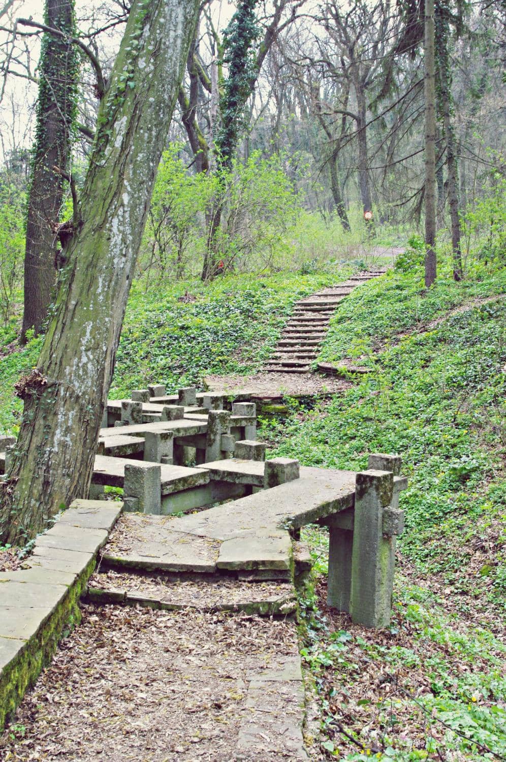 Walking Trails