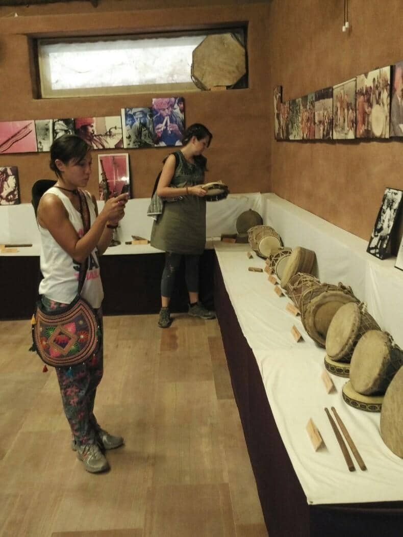 Desert Flora and Fauna