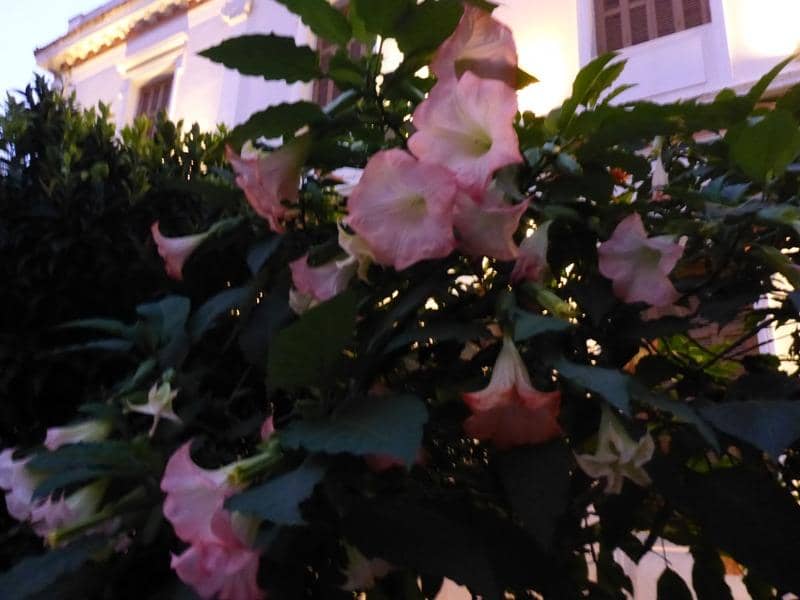 The Pantocrator Fresco