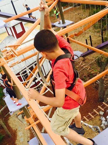 Vertical photo