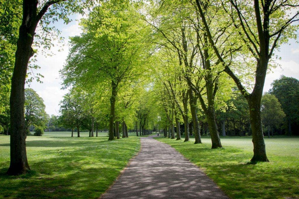 Victorian Landscape Design