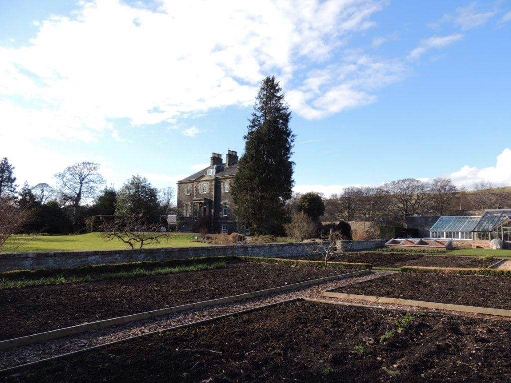 Adorably Maintained Greenhouse