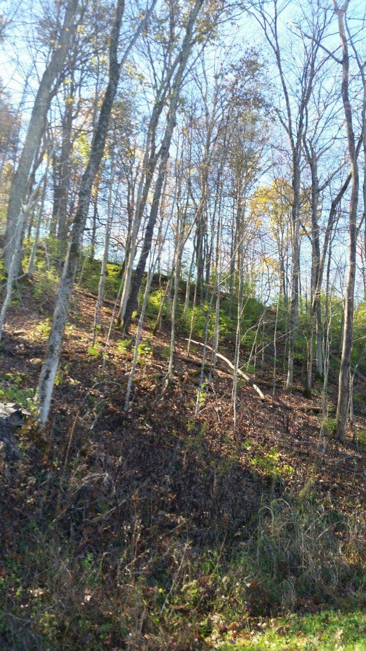 The Louisville Loop