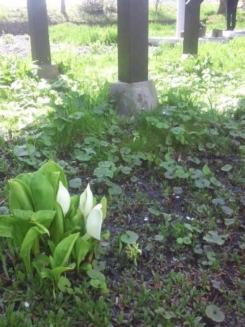 Artist's Birthplace & Storehouse