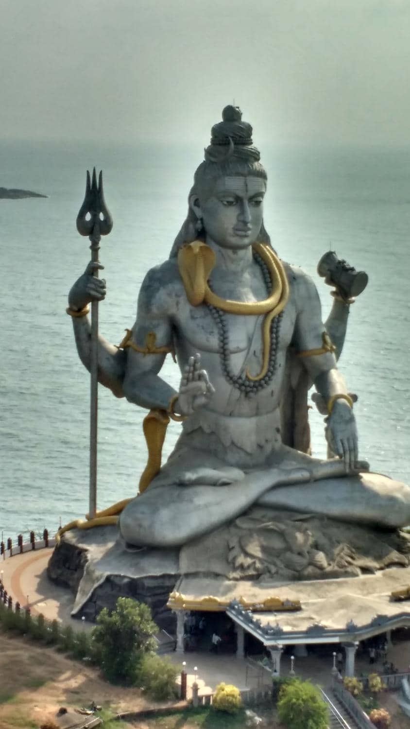 Raja Gopura's Panoramic Views