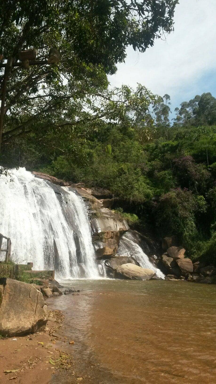 Serene Natural Surroundings