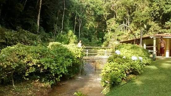 Natural Pool and Bar