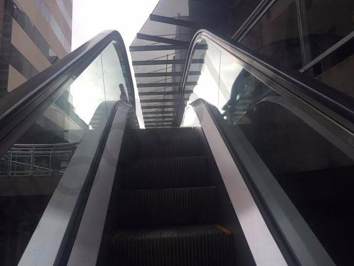 Vertical photo