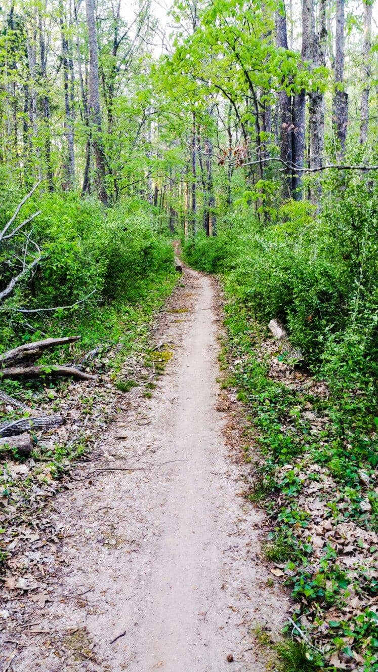 Rustic Barns & Wood Piles