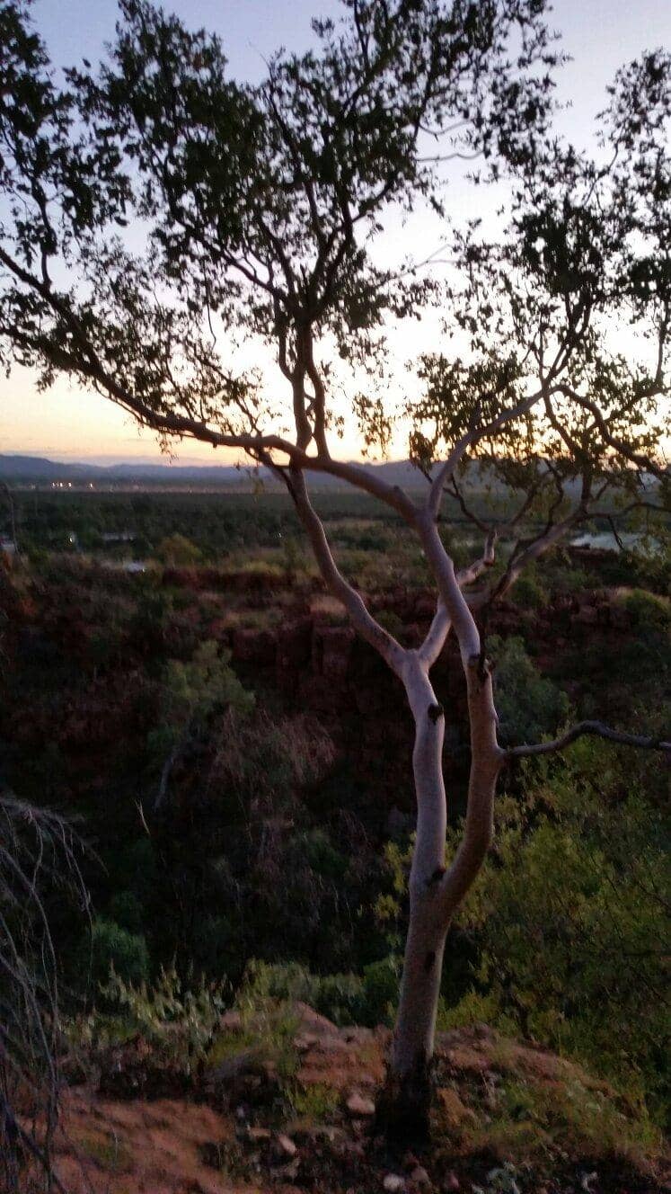 Sunset Spectacle