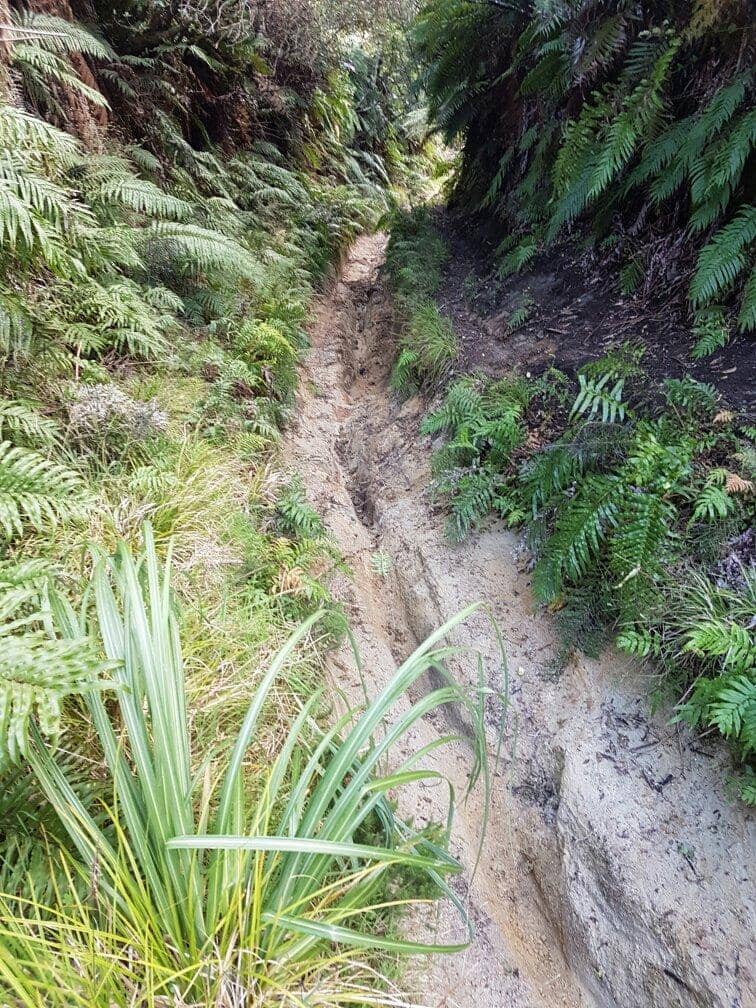 Crystal Clear Waters