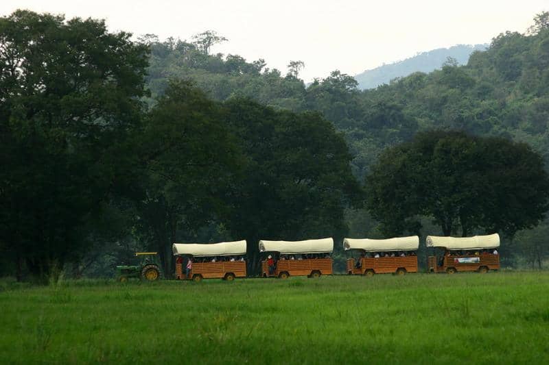 Farm Chokchai Ice Cream