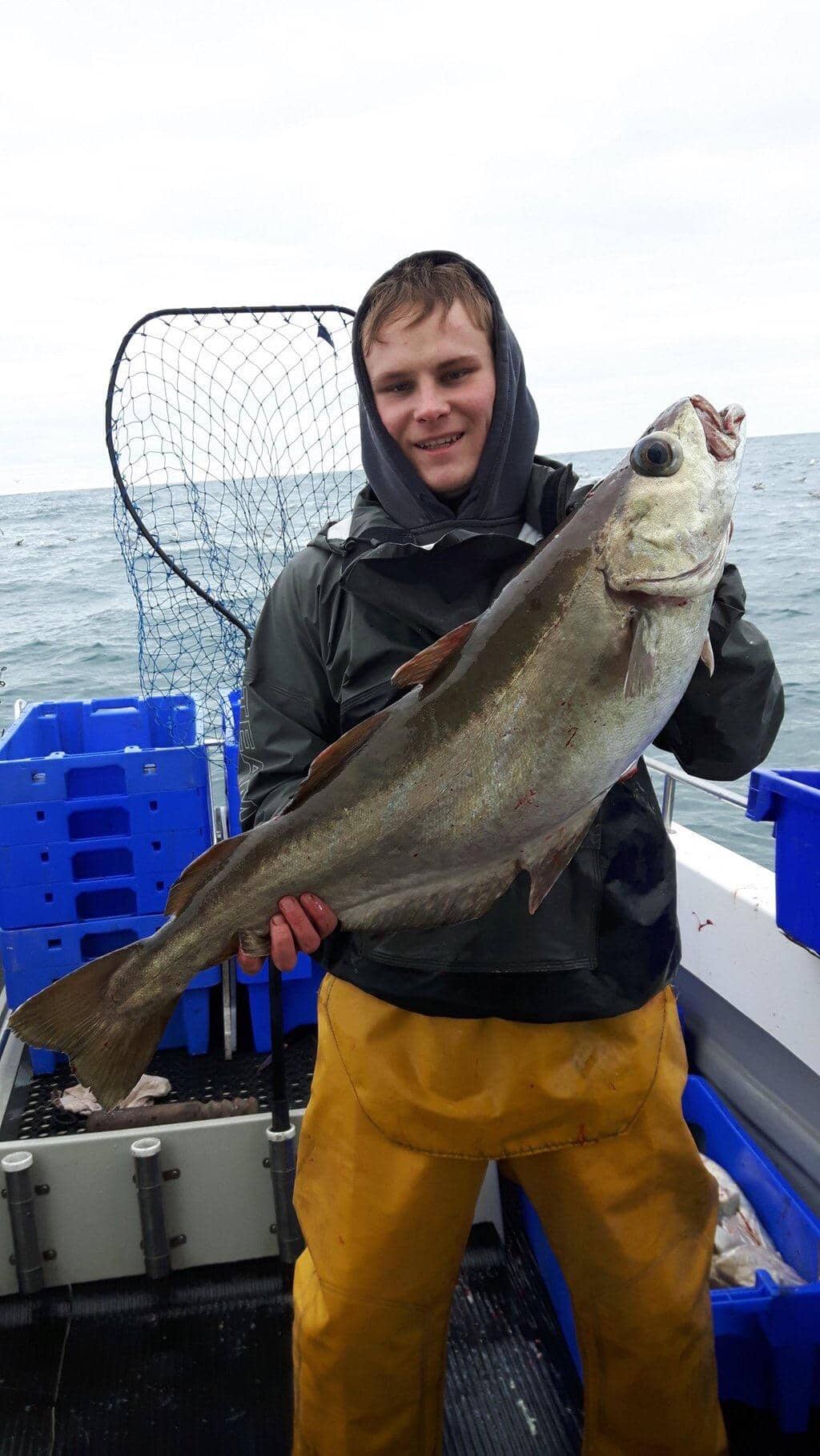 Fresh Seafood Breakfast