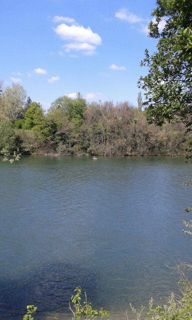 Vertical photo
